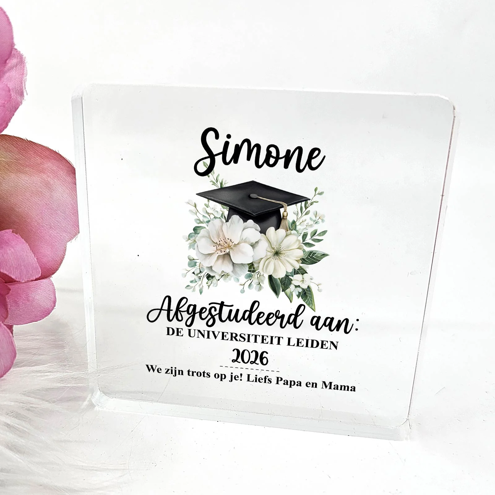 Miniatuur 2
