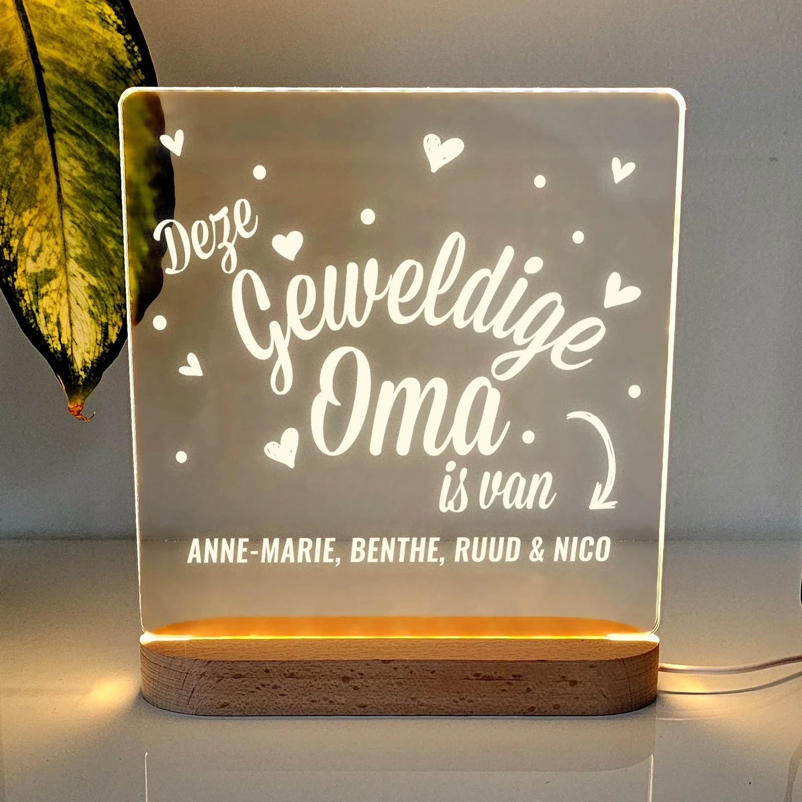 Productafbeelding 1