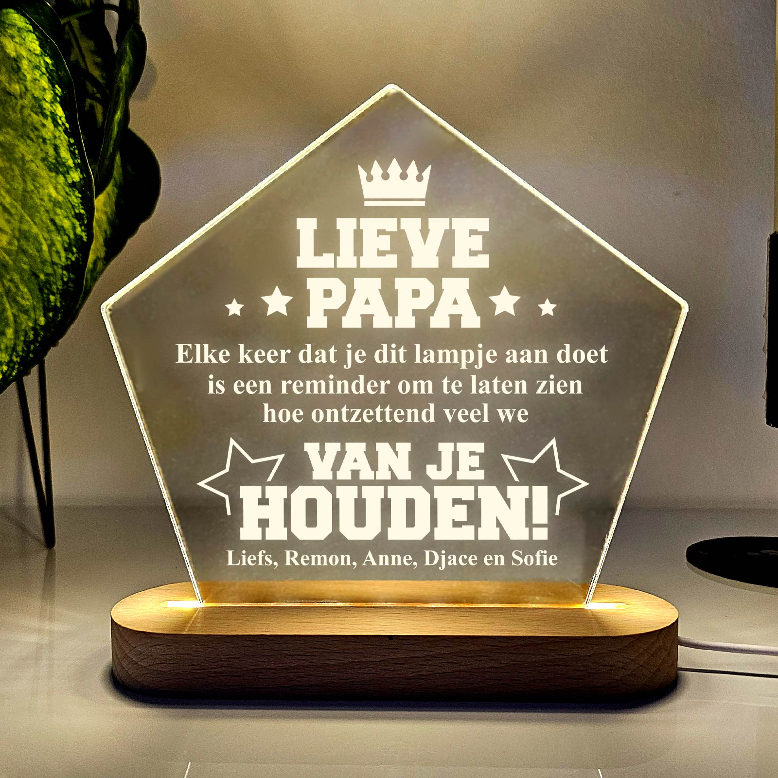 Productafbeelding 3
