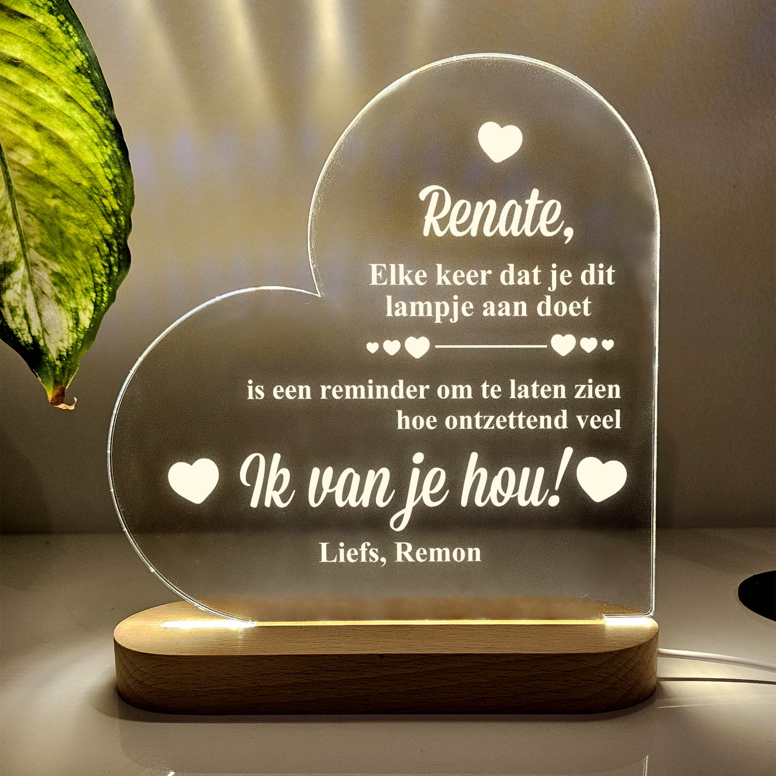 Productafbeelding 1